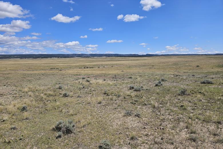 Public comment open as company seeks state permit for uranium mine