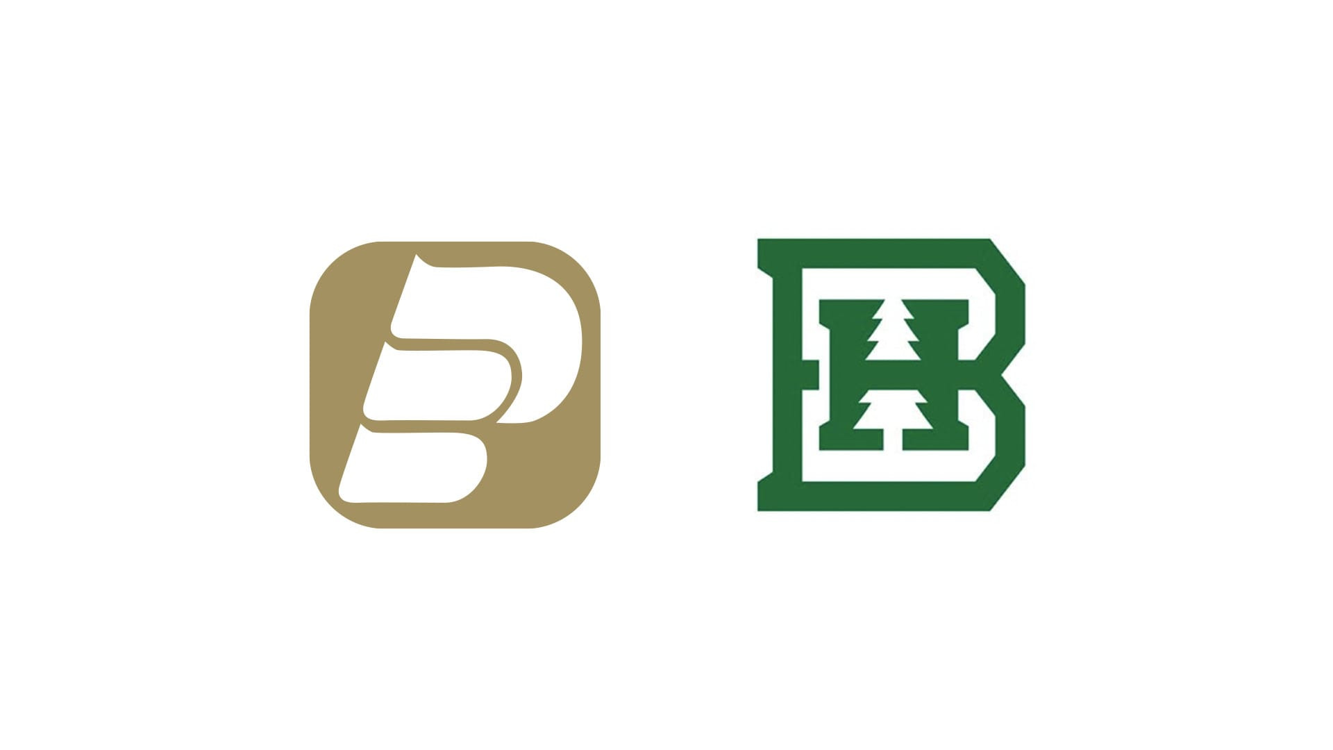 Pioneer Bank and Clarkson Family Drive $75,000 in Giving at BHSU Scholarship Gala
