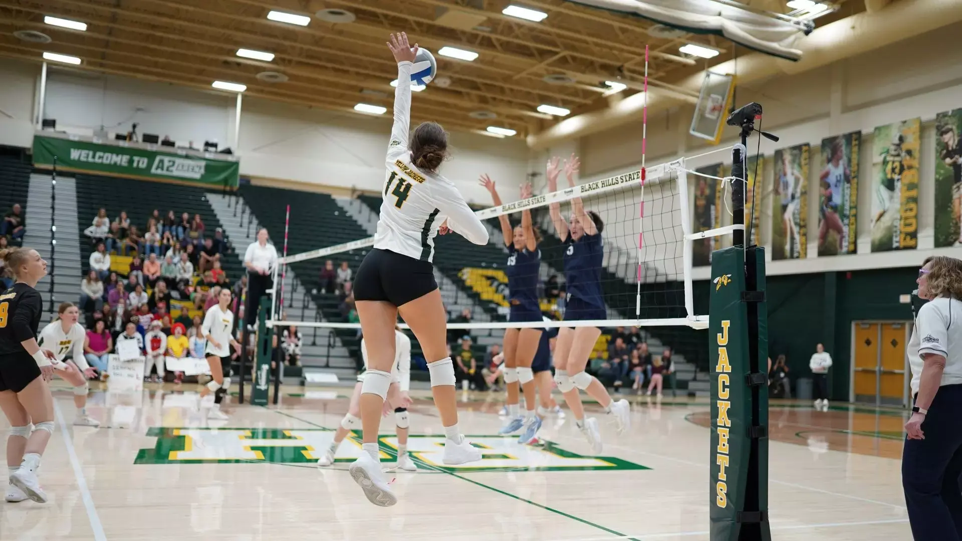 Yellow Jackets Fall to Hardrockers in Black Hills Brawl Rivalry Series Match