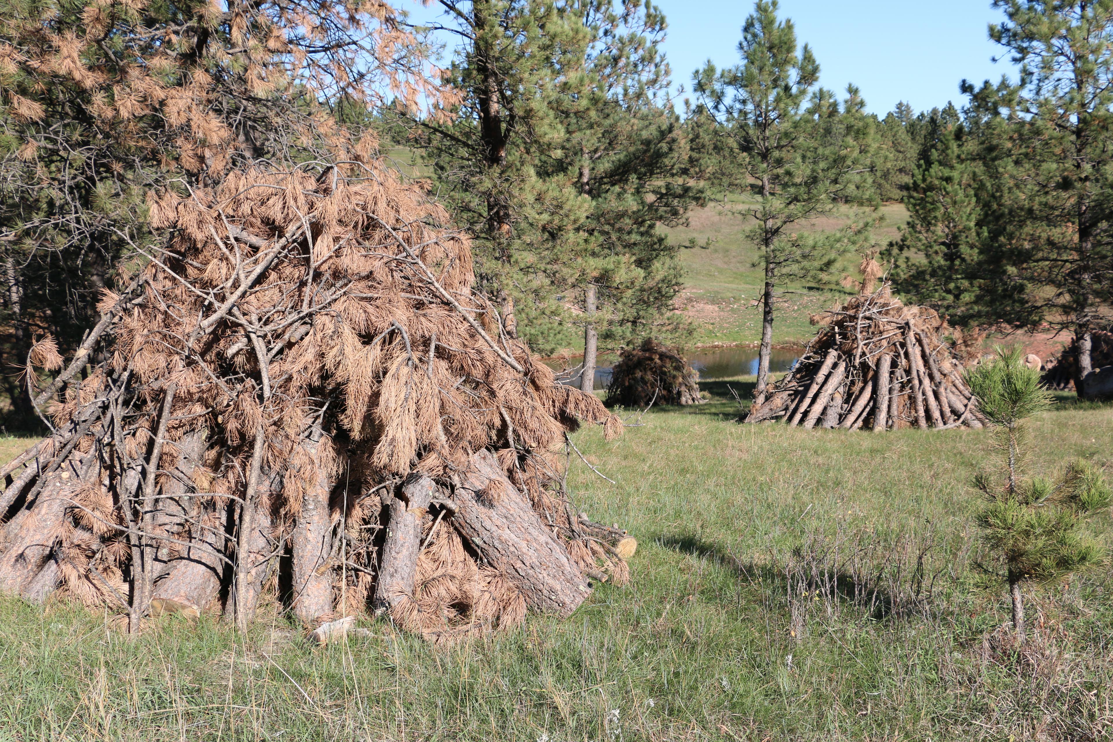 Fire officials urge caution as burn permits become available