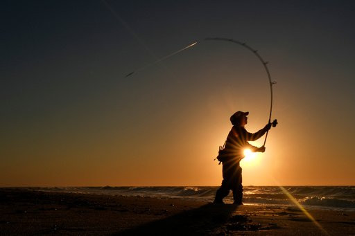 Randy Koeper of West Islip, N.Y., surf casts for striped bass at Hither Hills State Park Beach, Thursday, Oct. 8, 2026, in Montauk, N.Y. (AP Photo/Robert F. Bukaty)