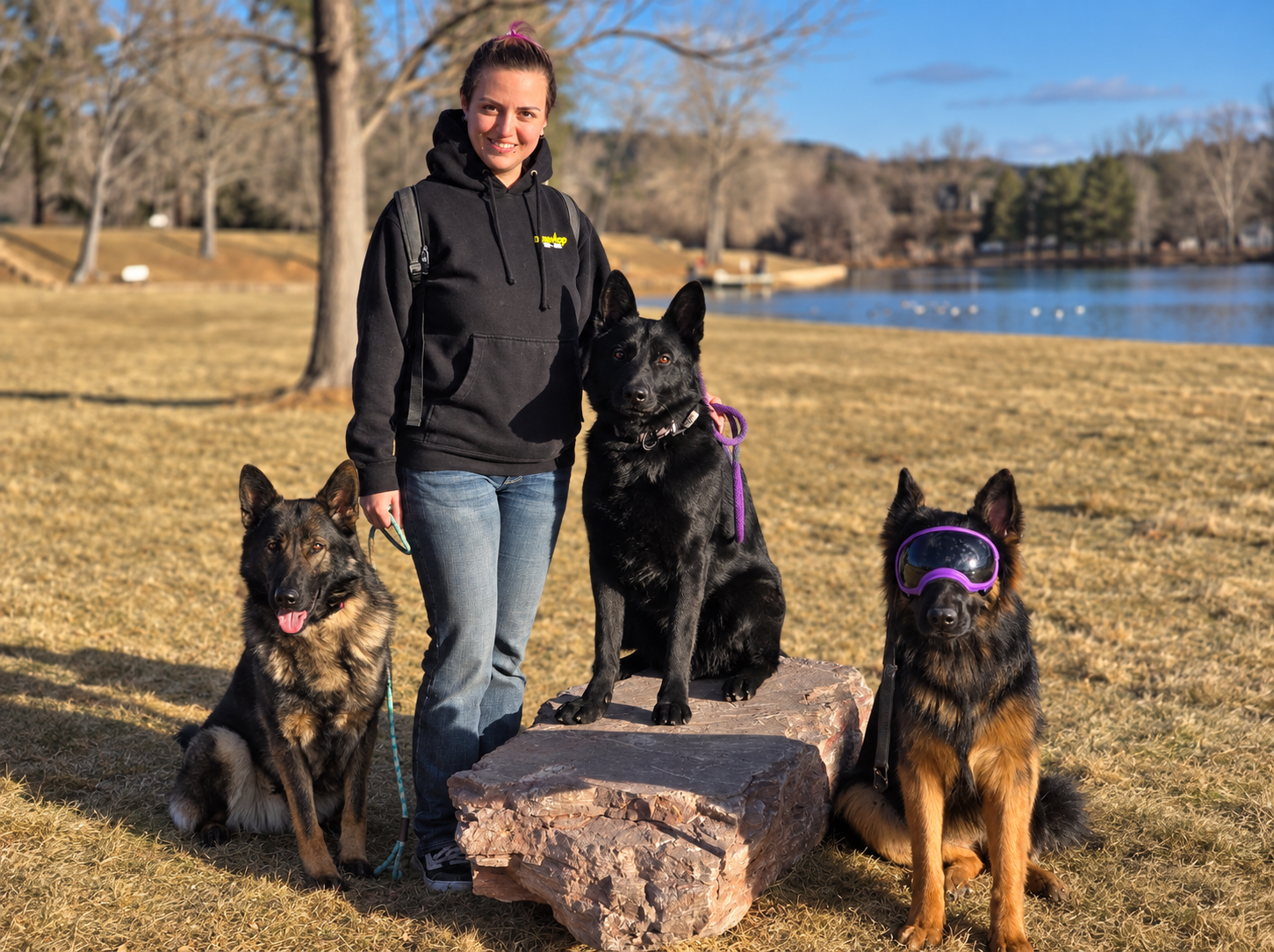 Guardian Shepherd Service Dogs highlights impact, challenges during Service Dog Awareness Month