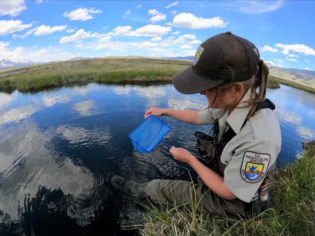 States sue feds over endangered species rollbacks