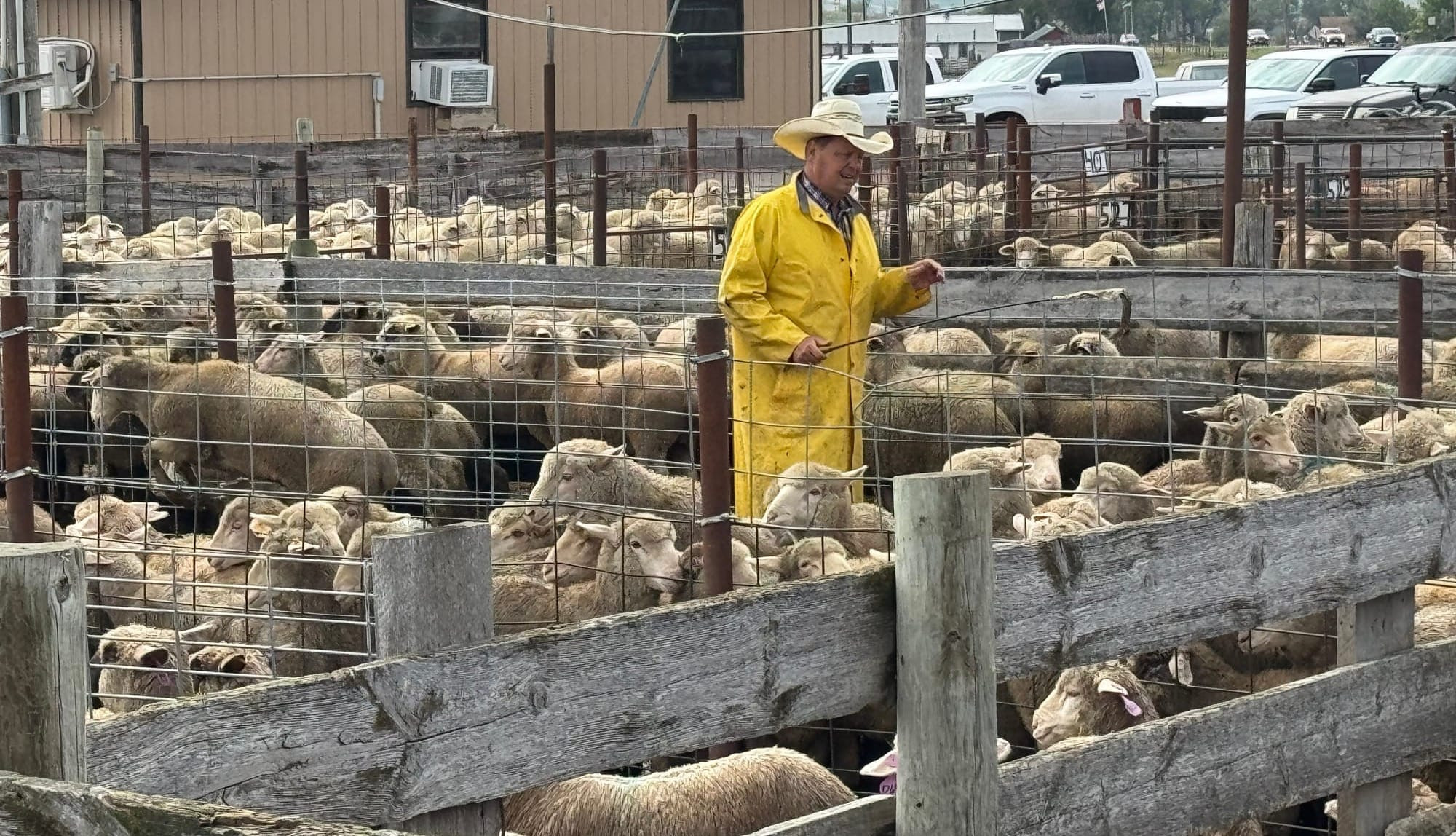 Tariffs and trade war bring volatility to SD ag industries