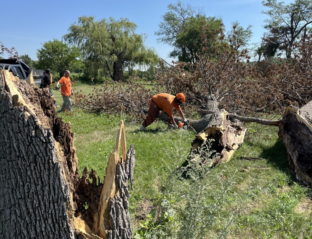 FEMA is off the chopping block. But disaster aid is still a guessing game.