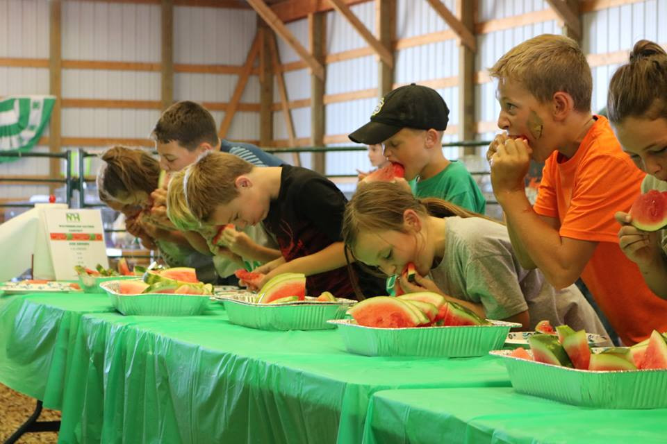 Meade County Fair offers events for country and city kids alike