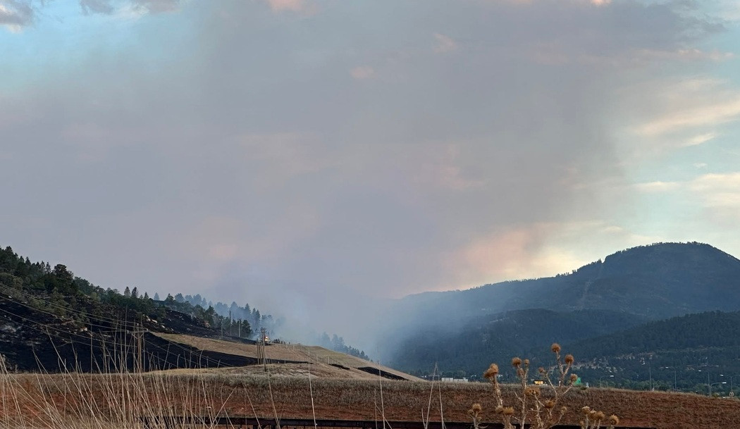 Very little growth reported on Lookout Fire lines