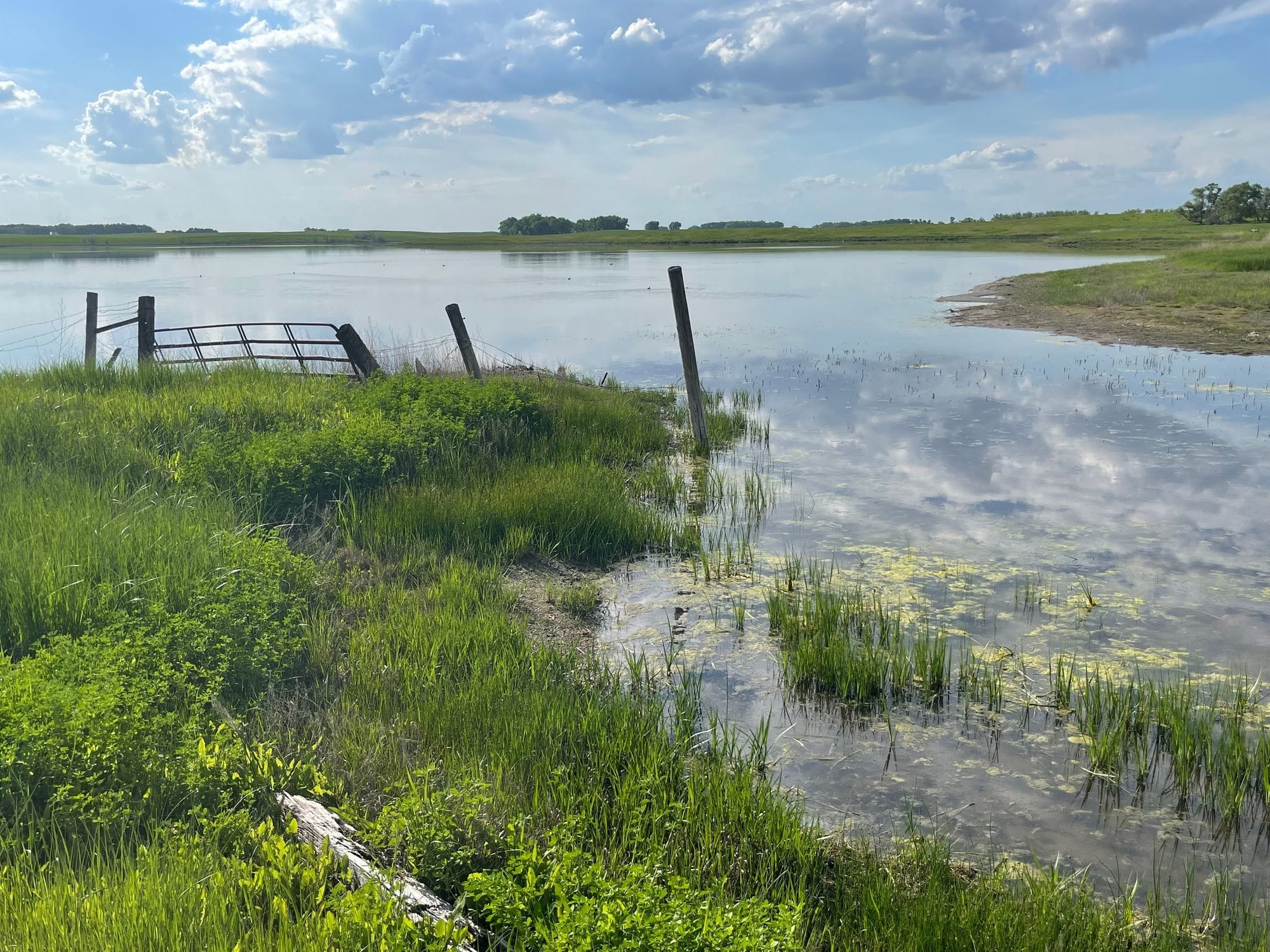 A flooded field in South Dakota