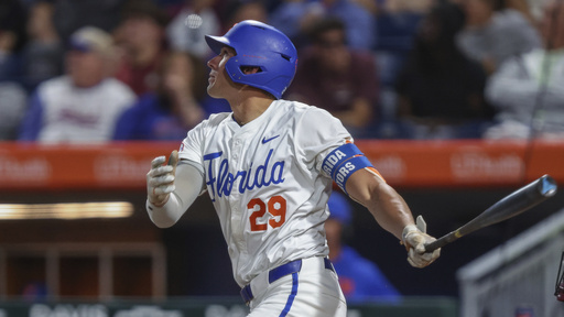 FILE- Florida catcher Brody Donay (29) bats during an NCAA baseball game against Florida State in Gainesville, Fla., Tuesday, April 8, 2025. (AP Photo/Gary McCullough, file)