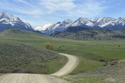 A dirt road in Sweet Grass County leading into the Crazy Mountains is seen Saturday, May 10, 2025, near Big Timber, Mont. (AP Photo/Matthew Brown)