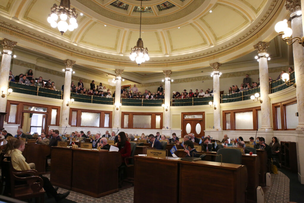 The Senate floor at the State Capitol during the 2024 Legislature. (Makenzie Huber/South Dakota Searchlight)