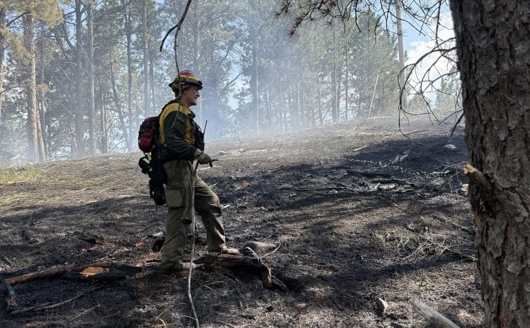 firefighter