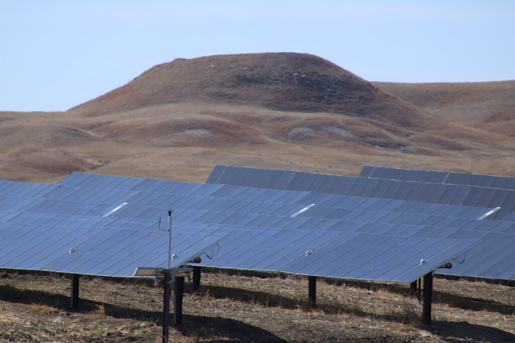 A portion of the Wild Springs Solar project near New Underwood, just prior to going operational in March 2024. (Seth Tupper/South Dakota Searchlight)