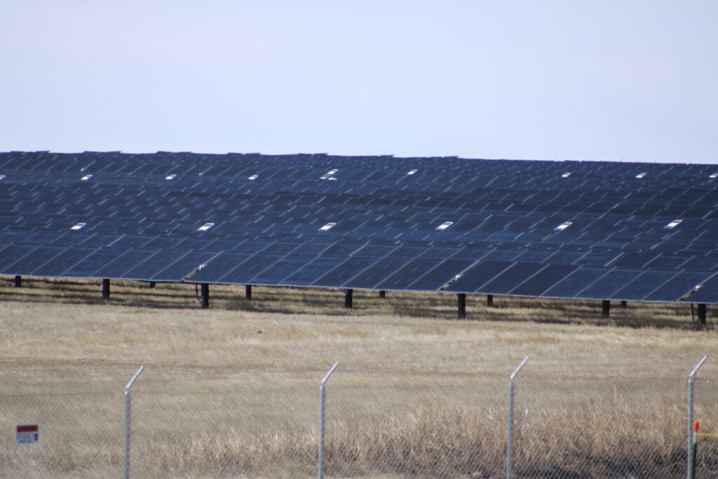 A portion of the Wild Springs Solar project near New Underwood, just prior to going operational in March 2024. (Seth Tupper/South Dakota Searchlight)