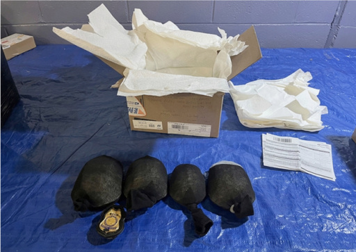 This photo provided by U.S. Dept. of Justice, shows intercepted eastern box turtles that a New York man pleaded guilty Monday, Aug. 11, 2025, in federal court in New York to exporting more than 220 parcels containing around 850 eastern box turtles and three-toed box turtles, according to the U.S. Justice Department. (U.S. Dept. of Justice via AP)