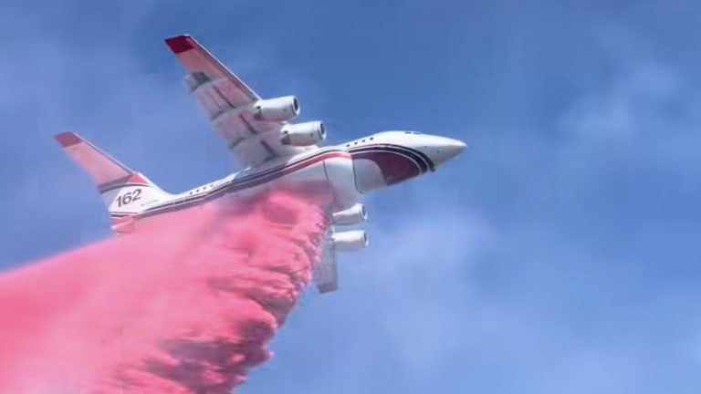 Buck Fire