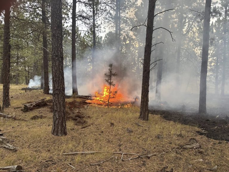 Wildland fire