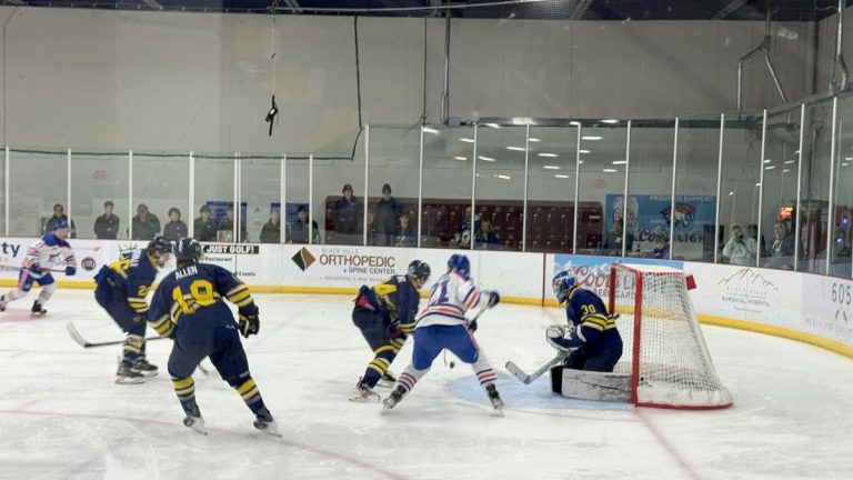 sabres