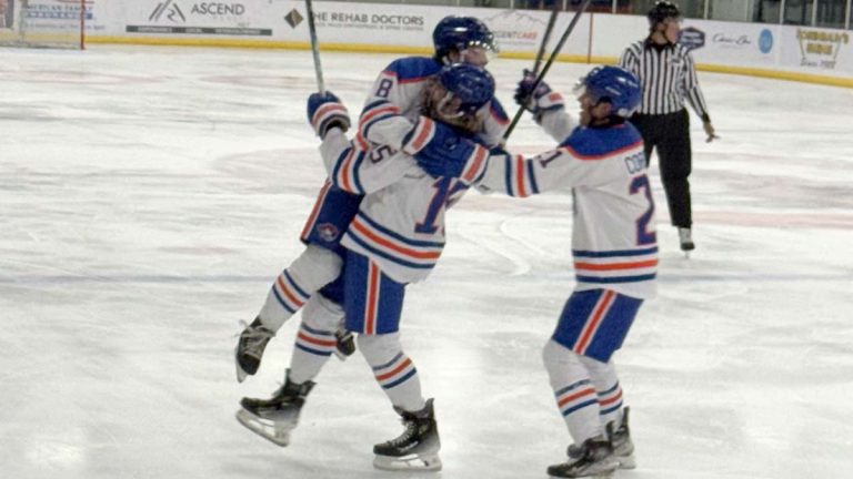 Sabres