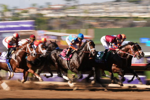 Ryusei Sakai (5) rides Forever Young to victory in the Breeders' Cup Classic horse race on Saturday, Nov. 1, 2025, in Del Mar, Calif. (AP Photo/Gregory Bull)