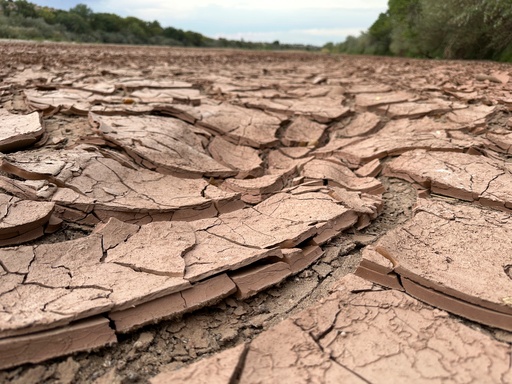 FILE - Cracked, dry mud makes up the riverbed of the Rio Grande in Albuquerque, N.M., on Thursday, Aug. 21, 2025. (AP Photo/Susan Montoya Bryan, File)